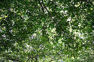 冒险游戏《Dollhouse》Steam页面 年内发售