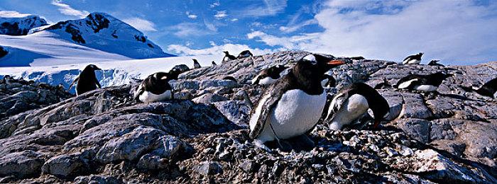 《灰区战争》重磅更新“战争之风”正式上线，简体中文全面支持！