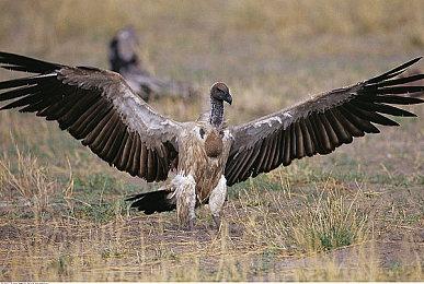 喜加一：《默途》为奥运健儿庆功，将开启38%限时折扣