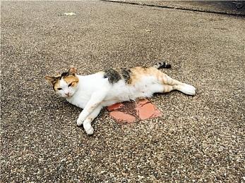 《全境封锁2》体验服不删档测试招募现已开启