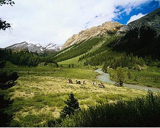 《船舶墓地模拟器》Steam现已发售 获“多半好评”